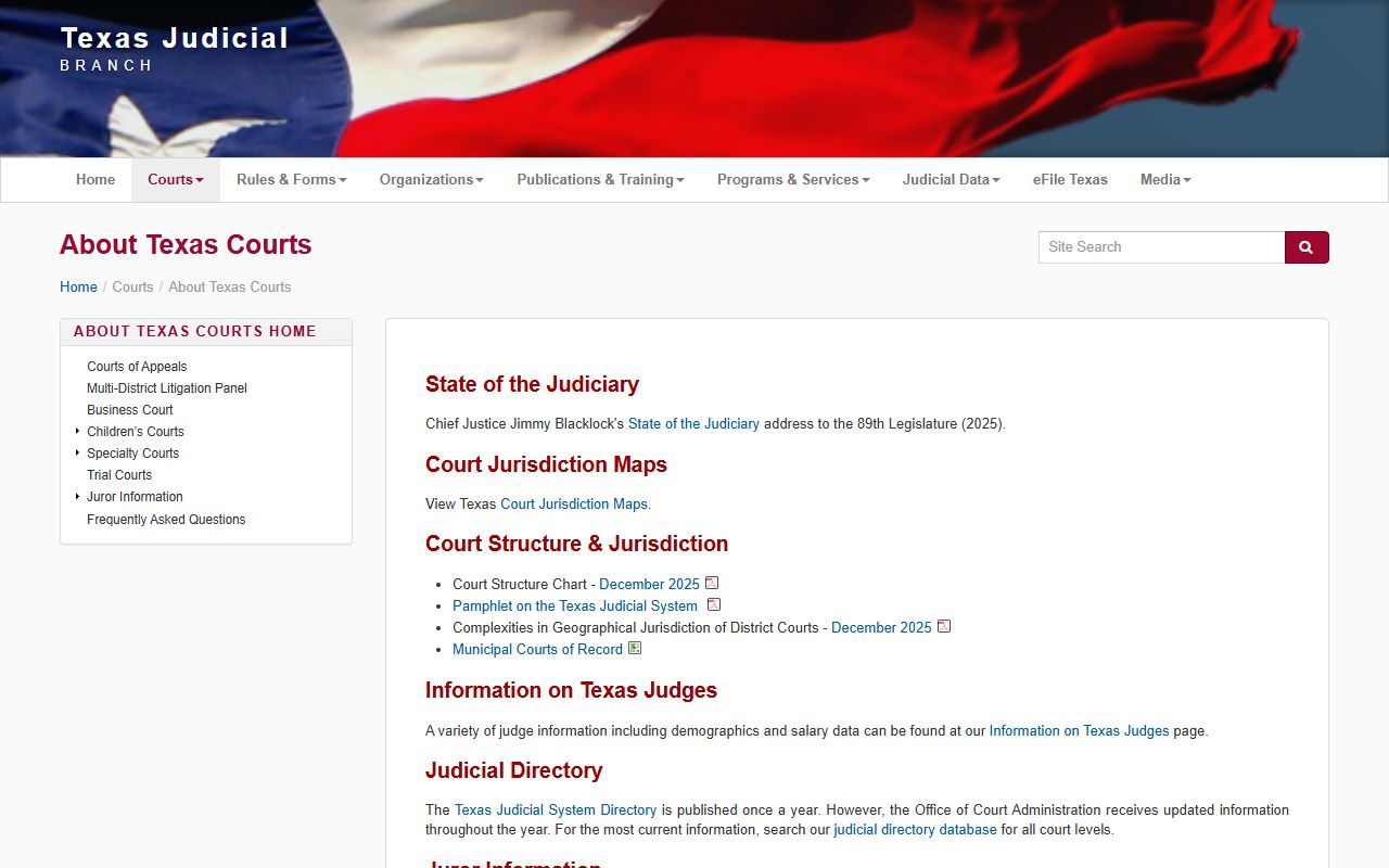 Williamson County court records Texas court structure chart