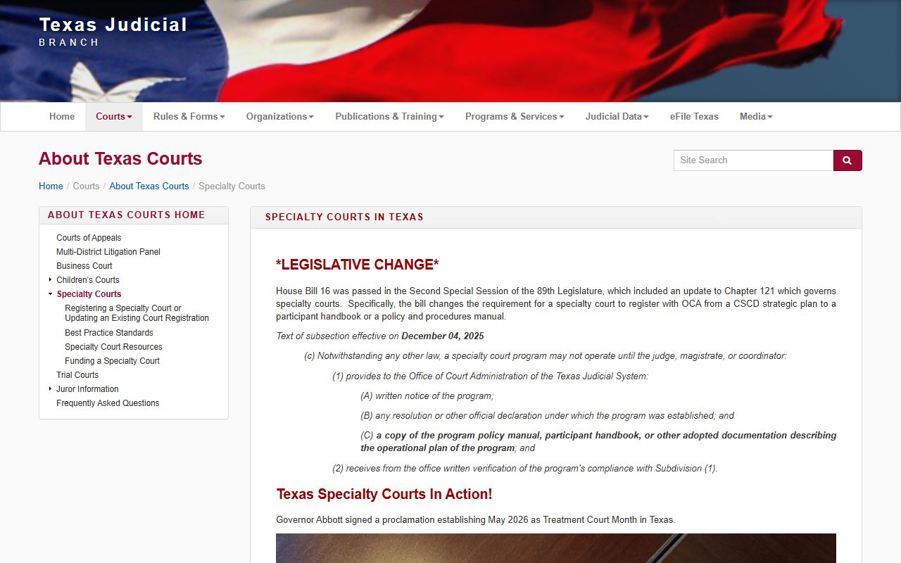 Williamson County court records Texas specialty court overview